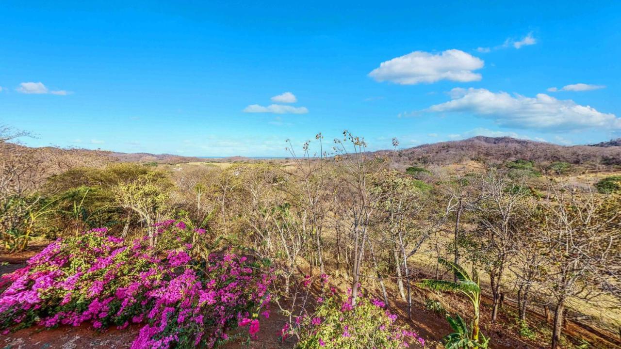 Отель Hyla Nature Retreat Сан-Хосе-Пинилья Экстерьер фото